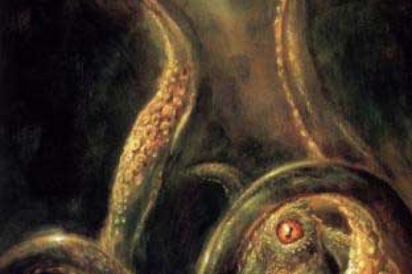 Vk kraken